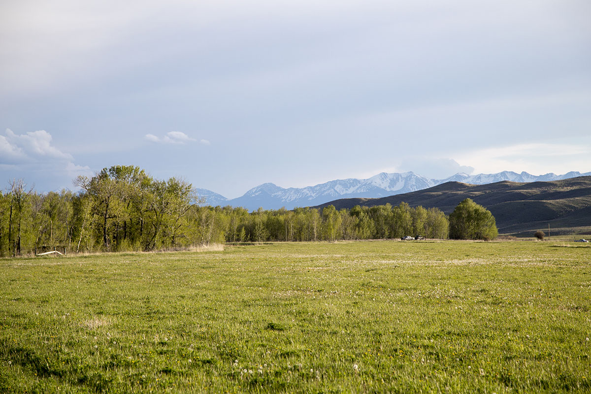Shields River Farmstead property picture 55 of 74