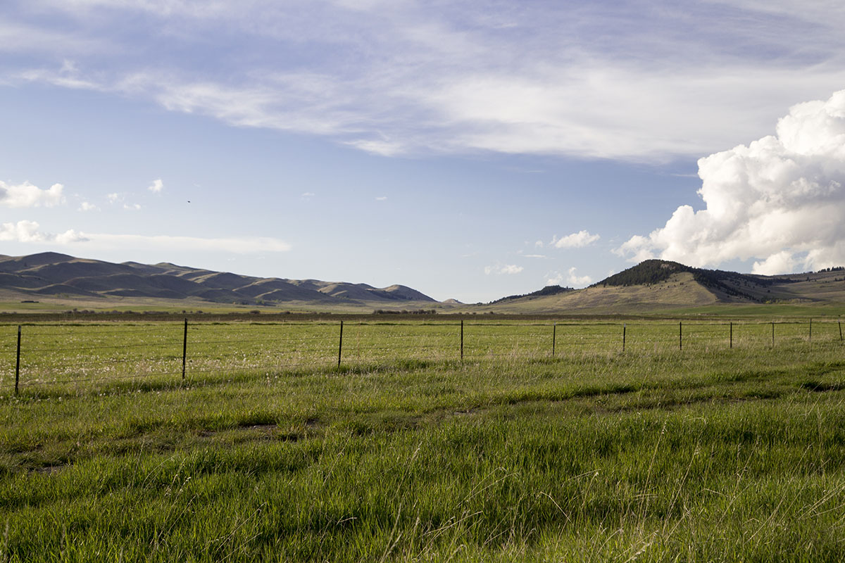 Shields River Farmstead property picture 53 of 74