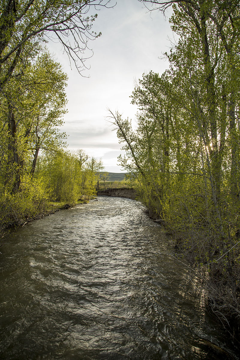 Shields River Farmstead property picture 52 of 74