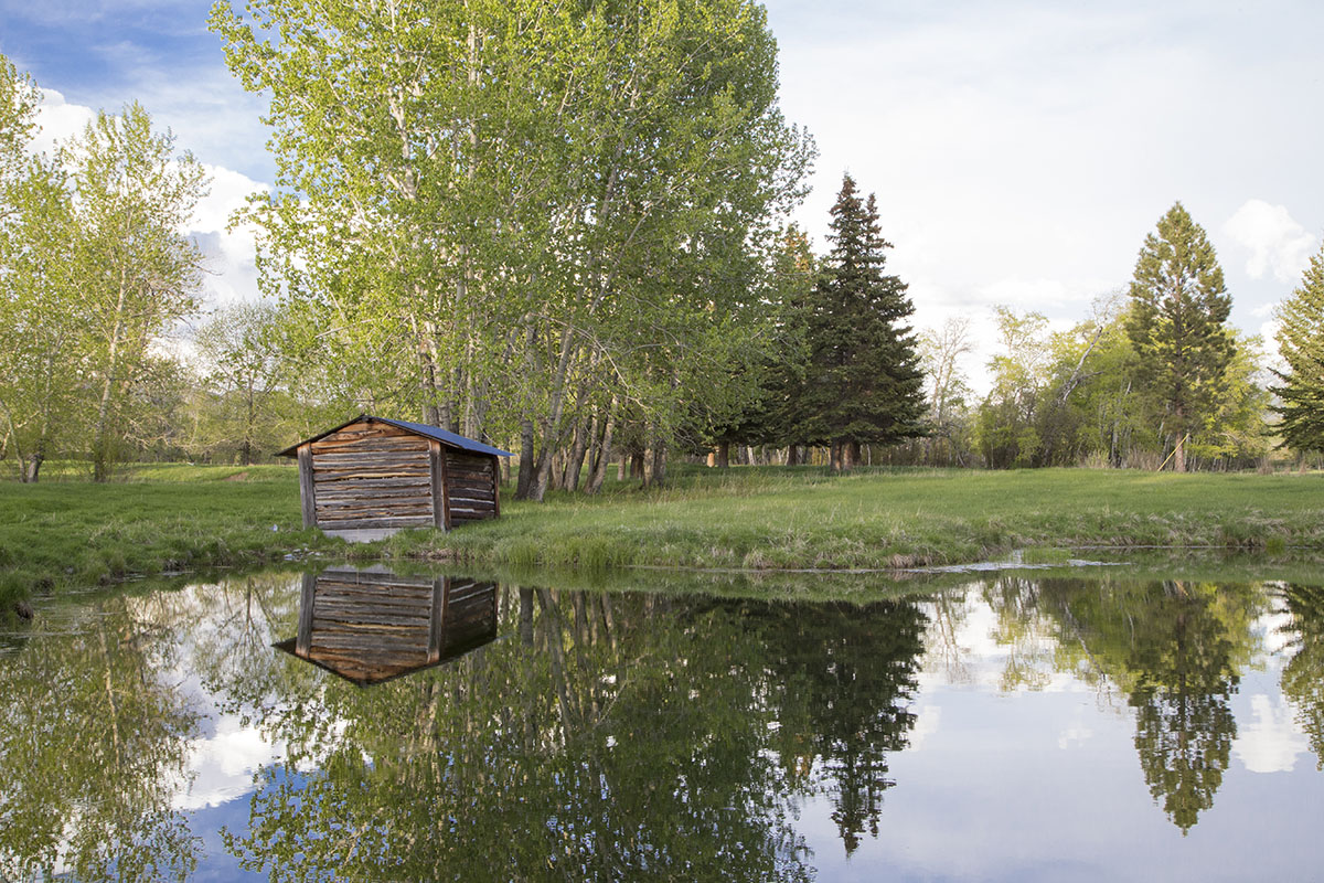 Shields River Farmstead property picture 50 of 74