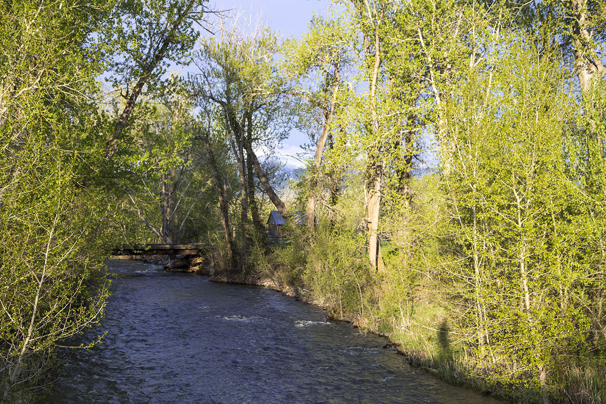 Shields River Farmstead property picture 49 of 74