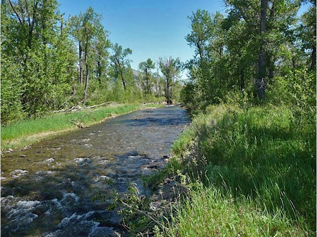 Shields River Farmstead property picture 47 of 74