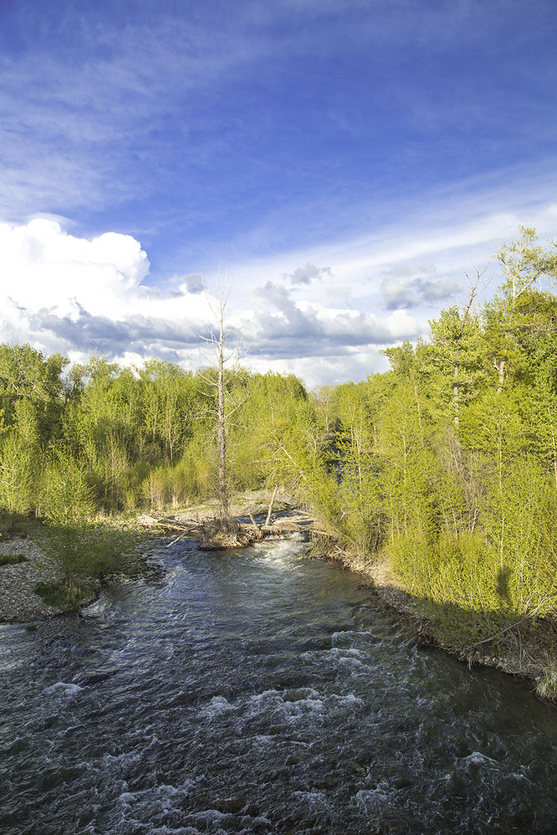 Shields River Farmstead property picture 46 of 74