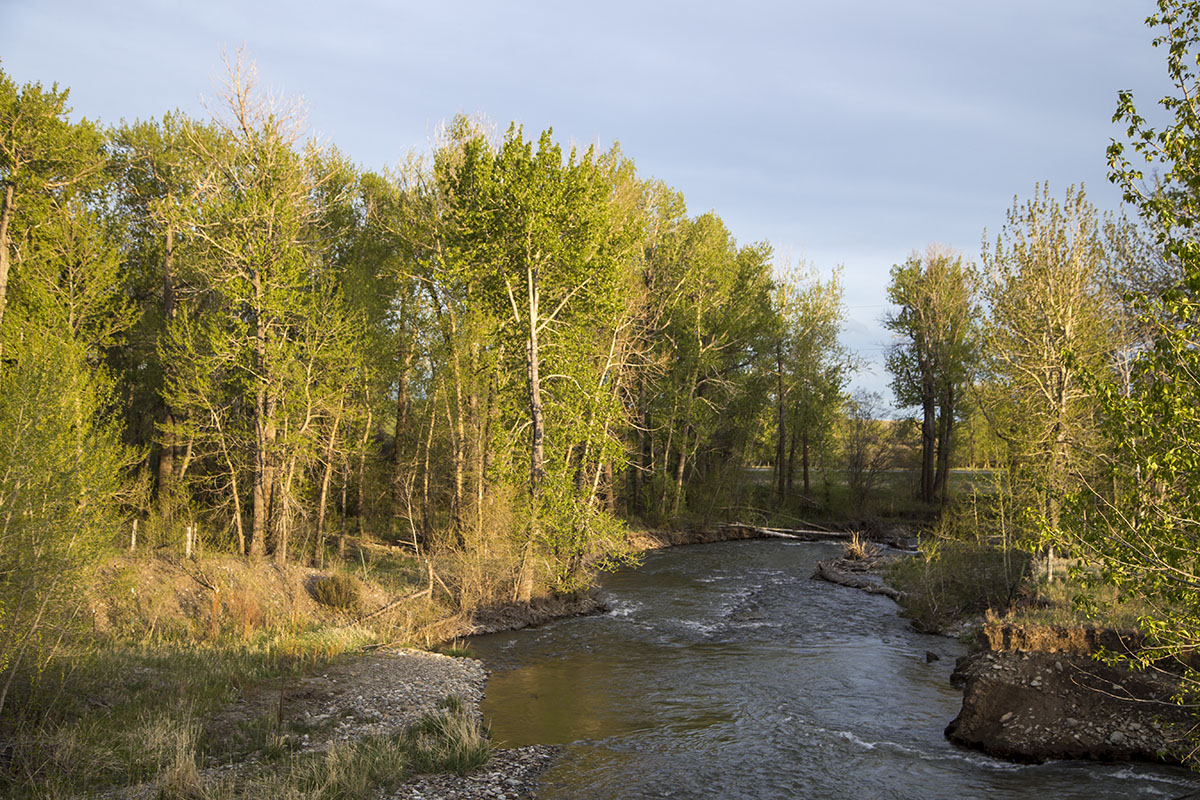 Shields River Farmstead property picture 42 of 74
