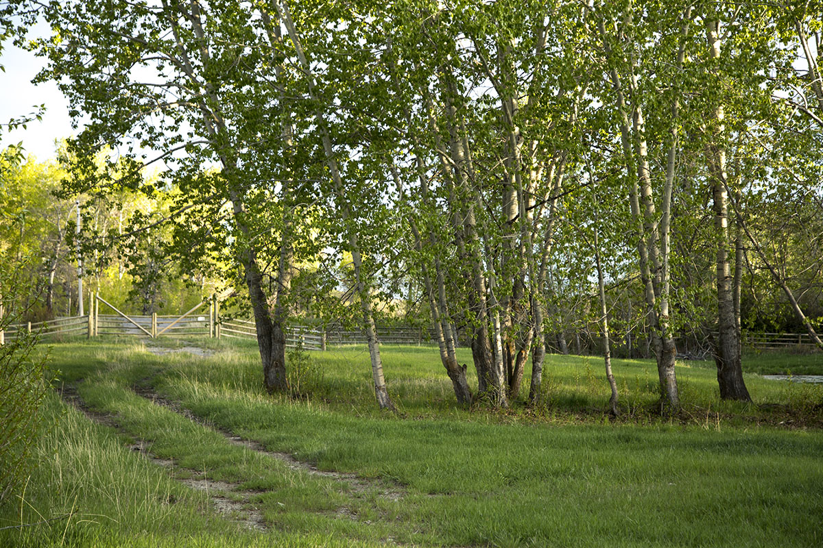 Shields River Farmstead property picture 41 of 74