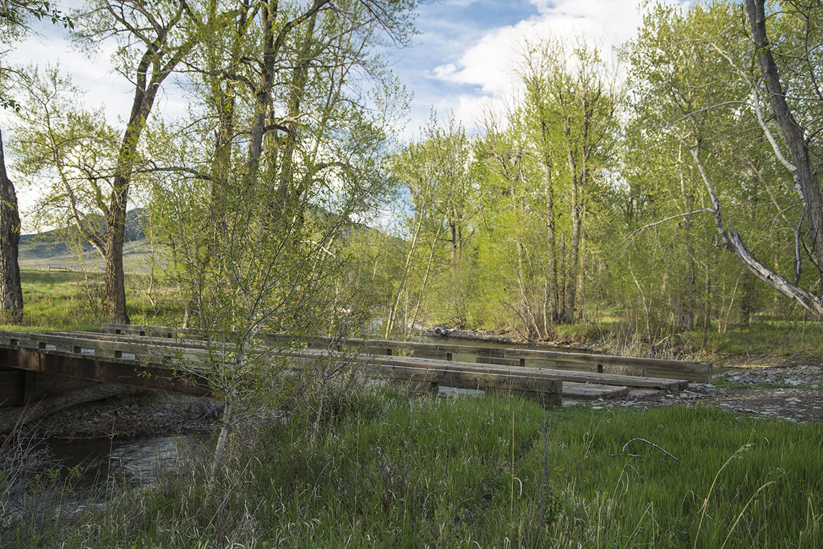 Shields River Farmstead property picture 39 of 74