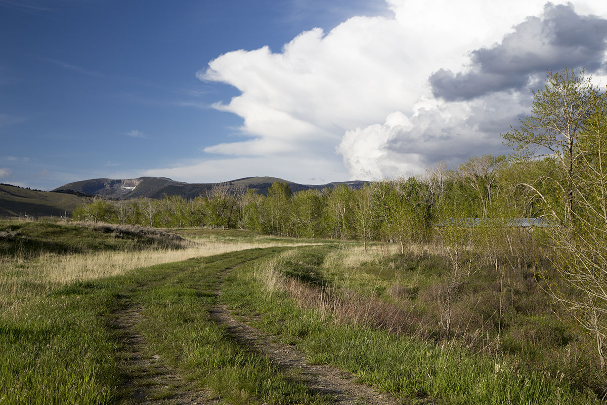 Shields River Farmstead property picture 38 of 74