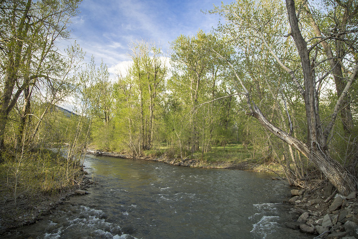 Shields River Farmstead property picture 36 of 74