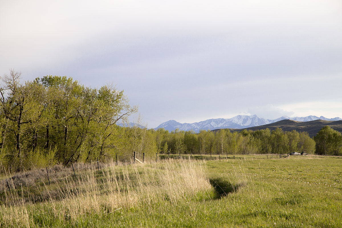 Shields River Farmstead property picture 35 of 74