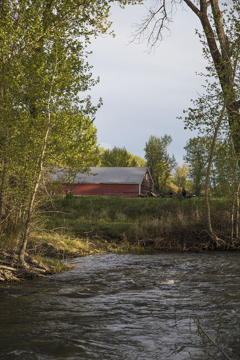 Shields River Farmstead property picture 34 of 74