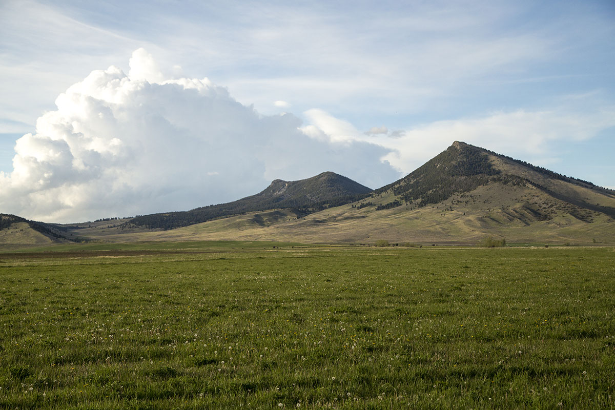Shields River Farmstead property picture 32 of 74