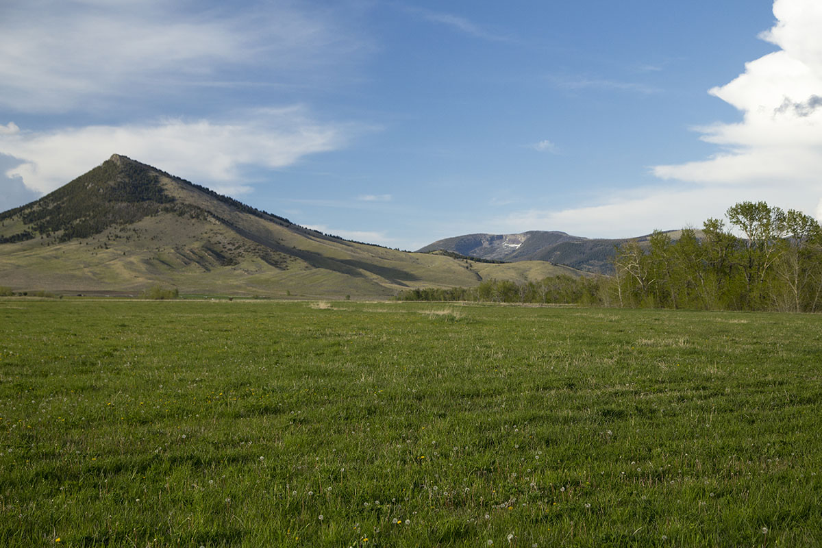 Shields River Farmstead property picture 31 of 74