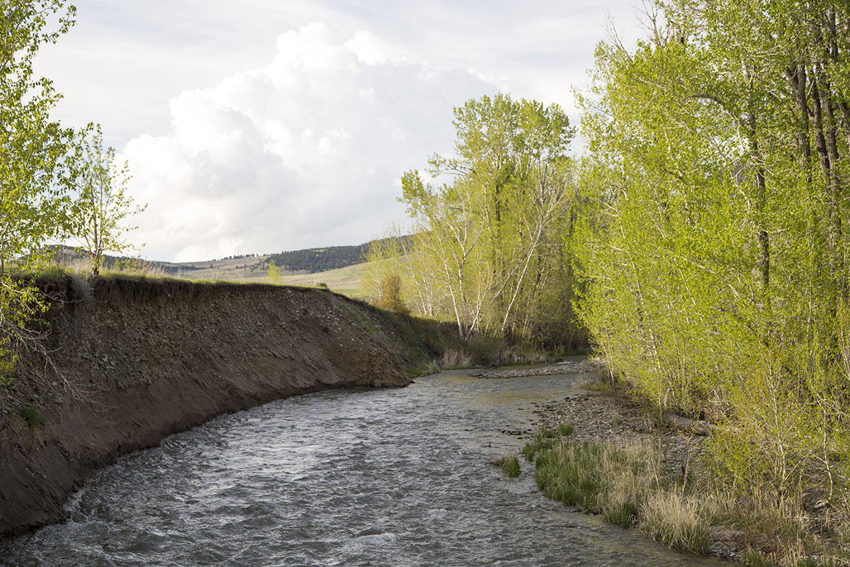 Shields River Farmstead property picture 30 of 74