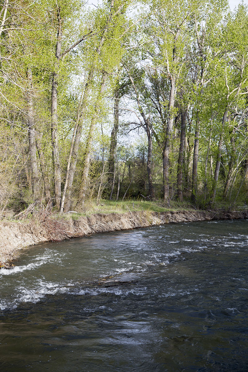 Shields River Farmstead property picture 29 of 74