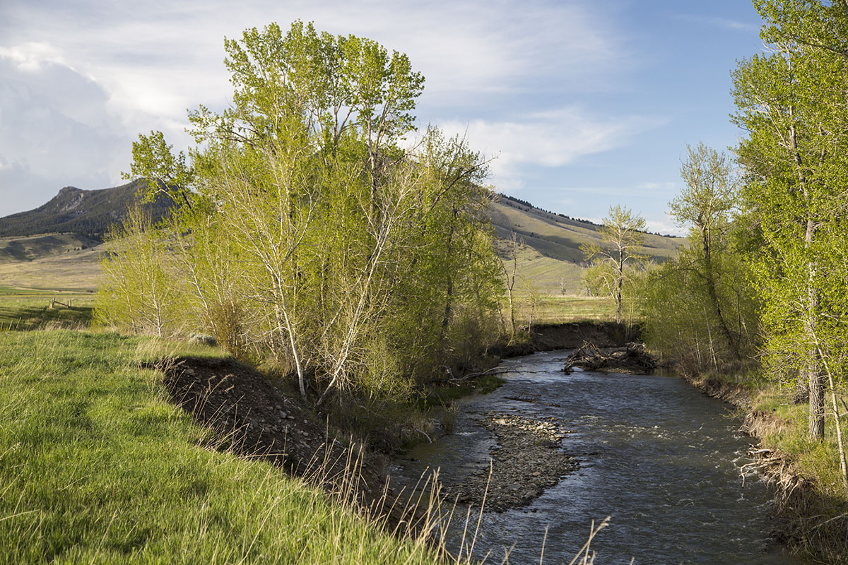 Shields River Farmstead property picture 28 of 74