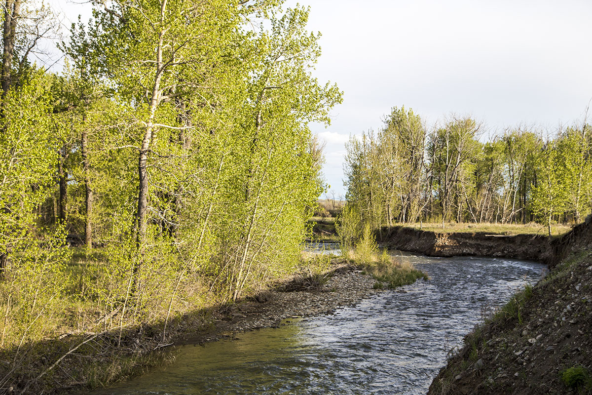 Shields River Farmstead property picture 27 of 74