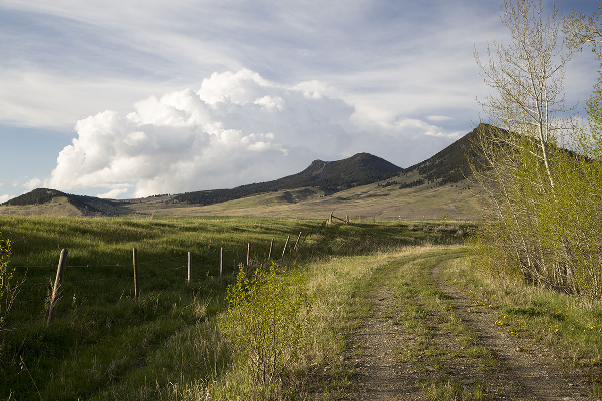 Shields River Farmstead property picture 26 of 74