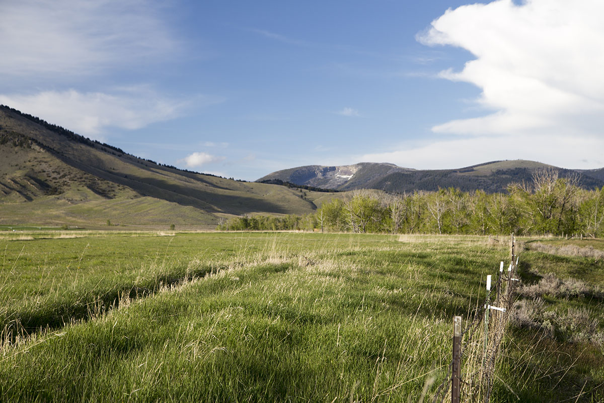 Shields River Farmstead property picture 25 of 74