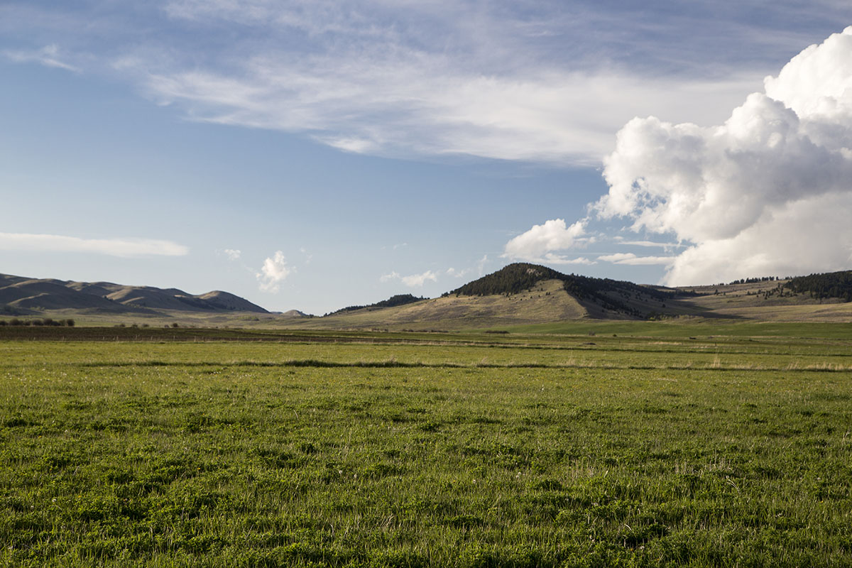 Shields River Farmstead property picture 23 of 74