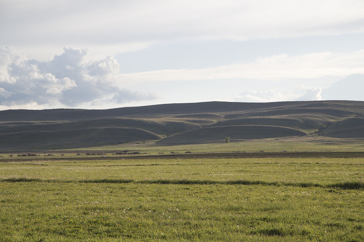 Shields River Farmstead property picture 22 of 74