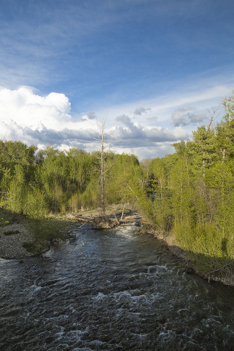 Shields River Farmstead property picture 21 of 74