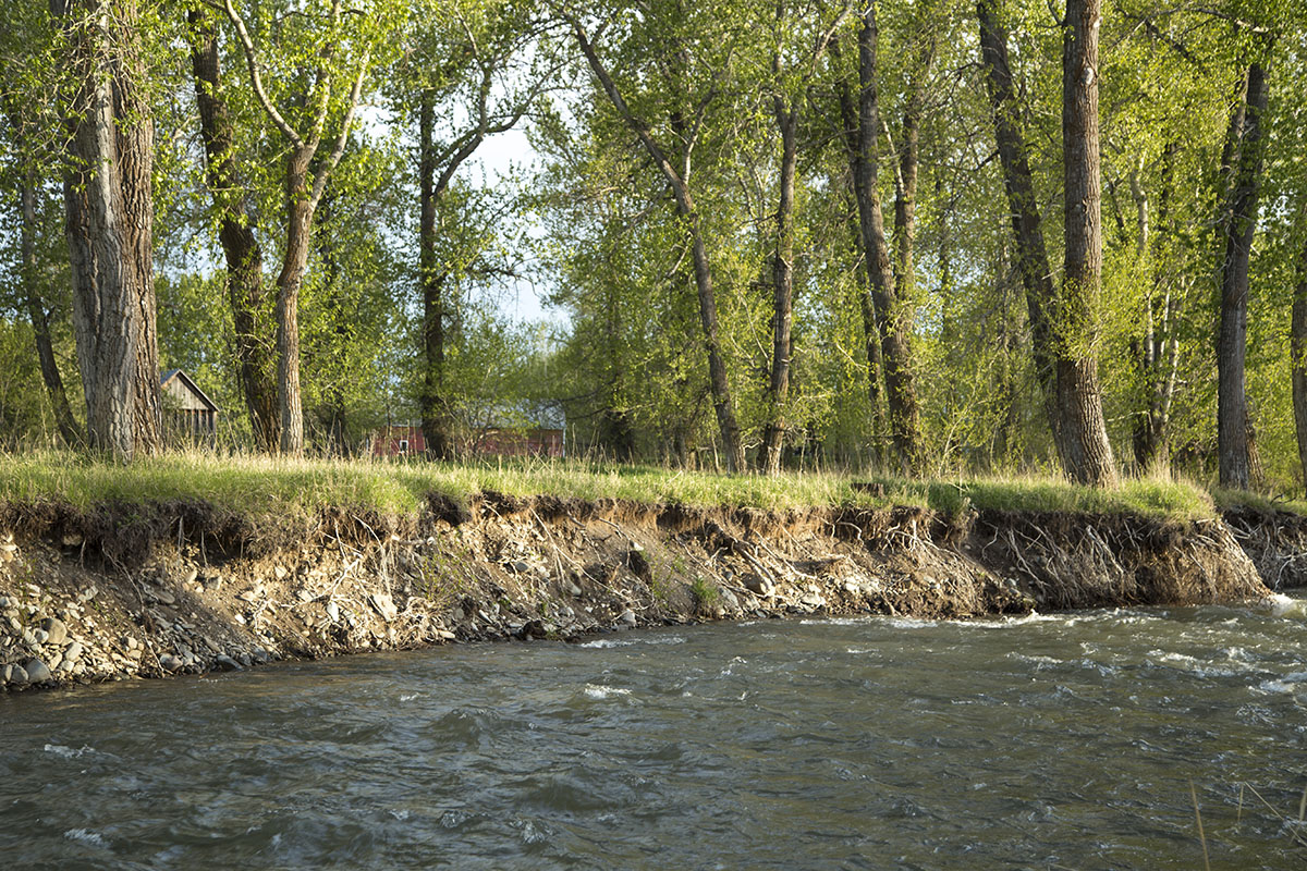 Shields River Farmstead property picture 19 of 74