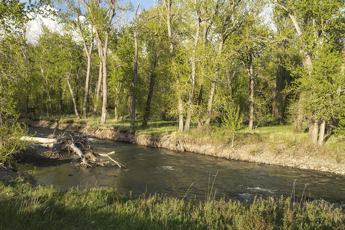 Shields River Farmstead property picture 18 of 74