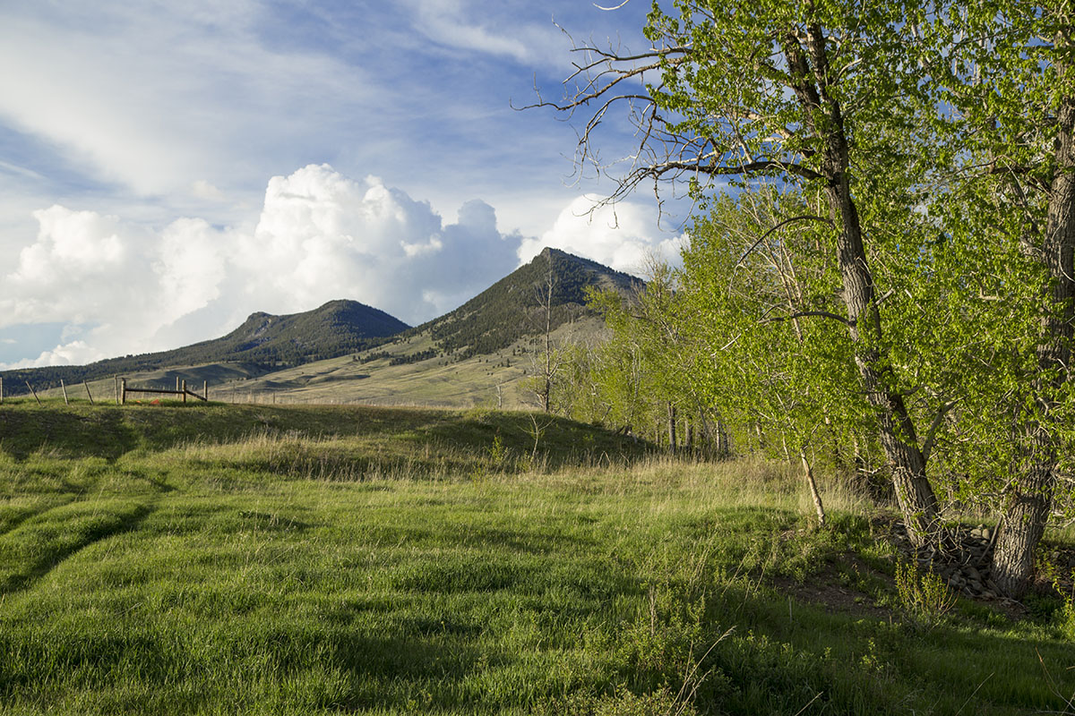 Shields River Farmstead property picture 17 of 74