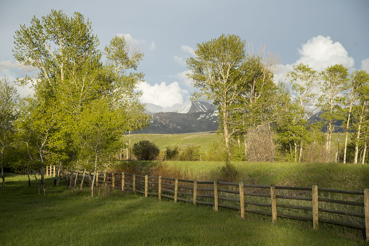 Shields River Farmstead property picture 12 of 74