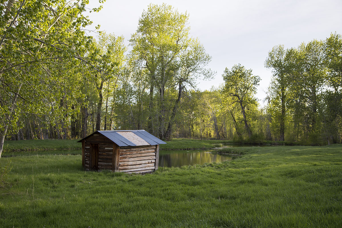 Shields River Farmstead property picture 11 of 74