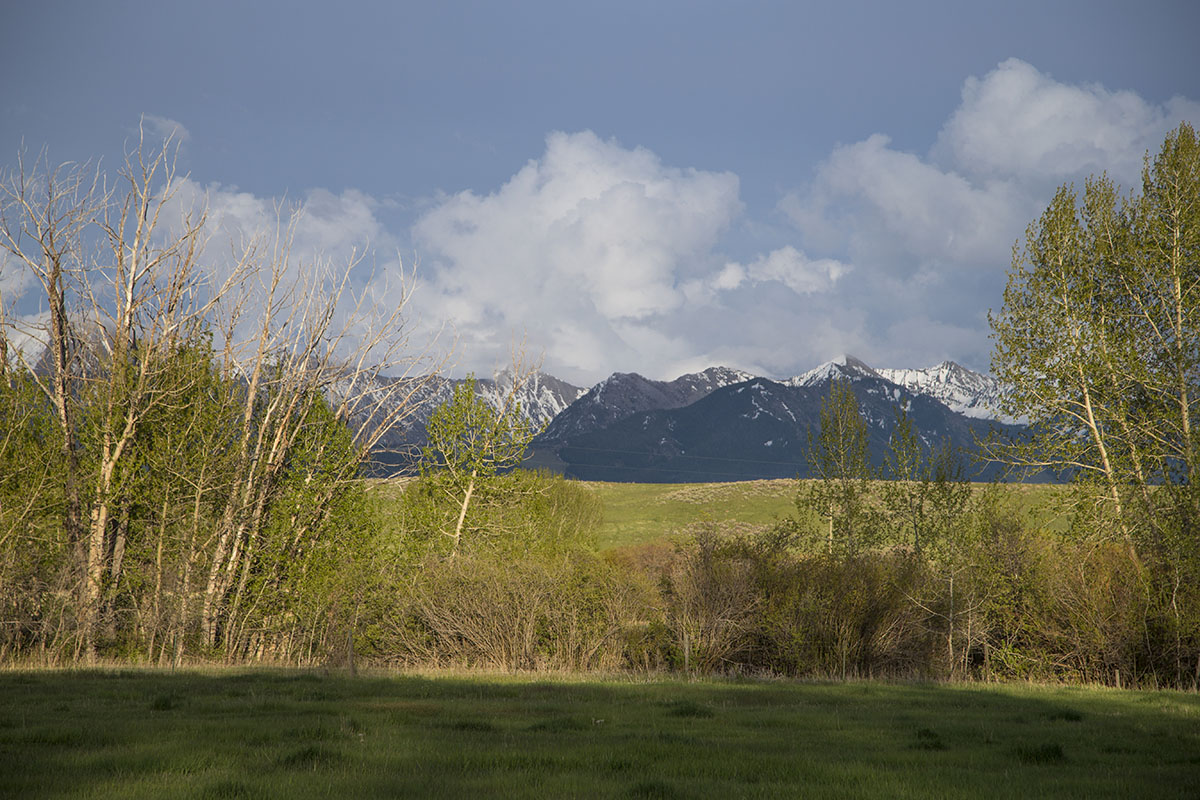 Shields River Farmstead property picture 8 of 74