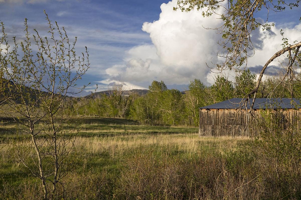 Shields River Farmstead property picture 6 of 74