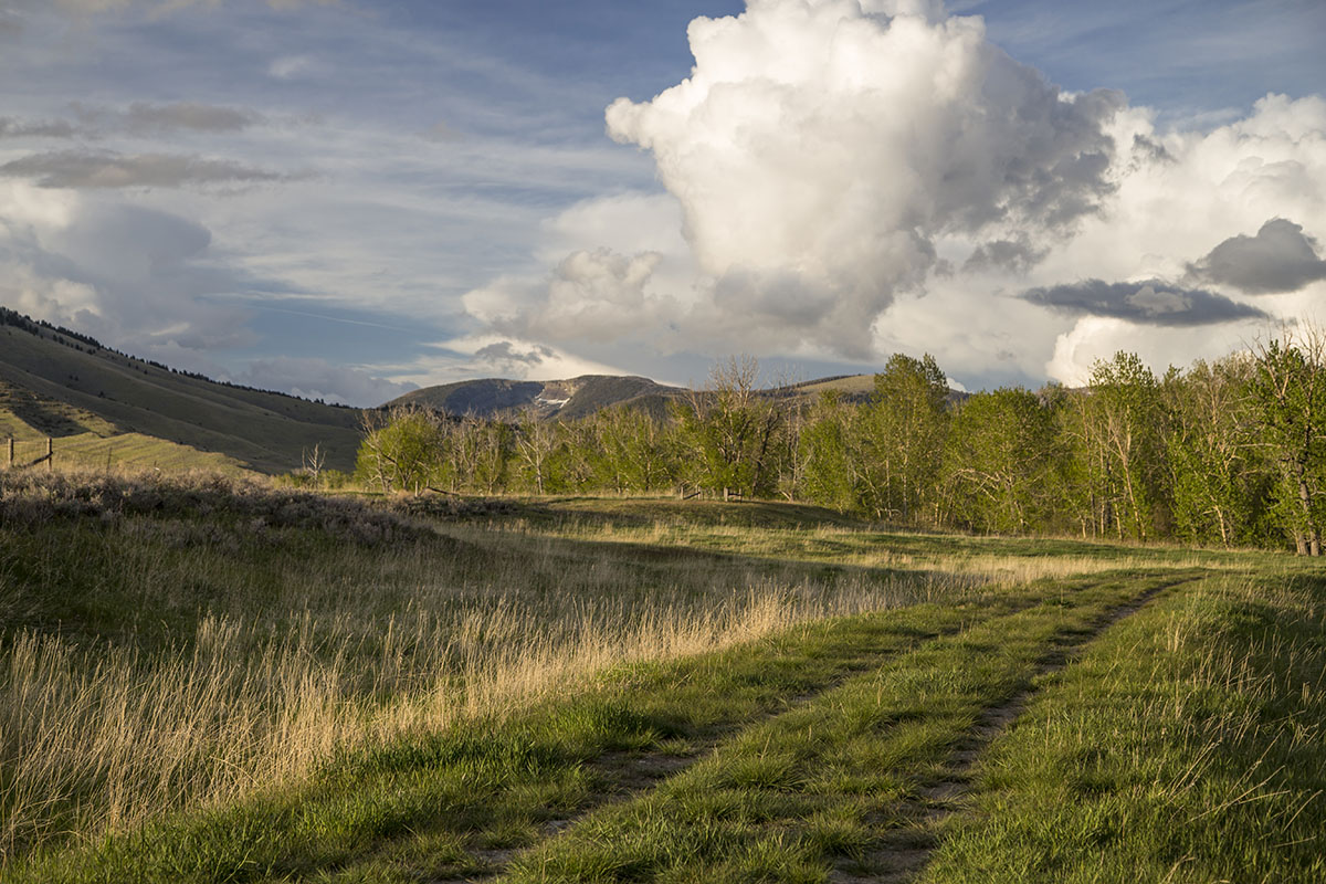 Shields River Farmstead property picture 5 of 74