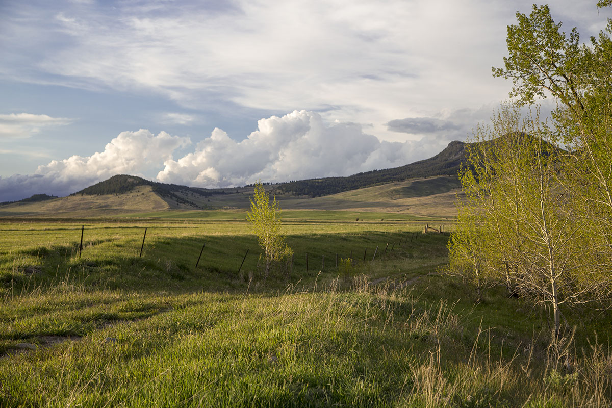 Shields River Farmstead property picture 4 of 74