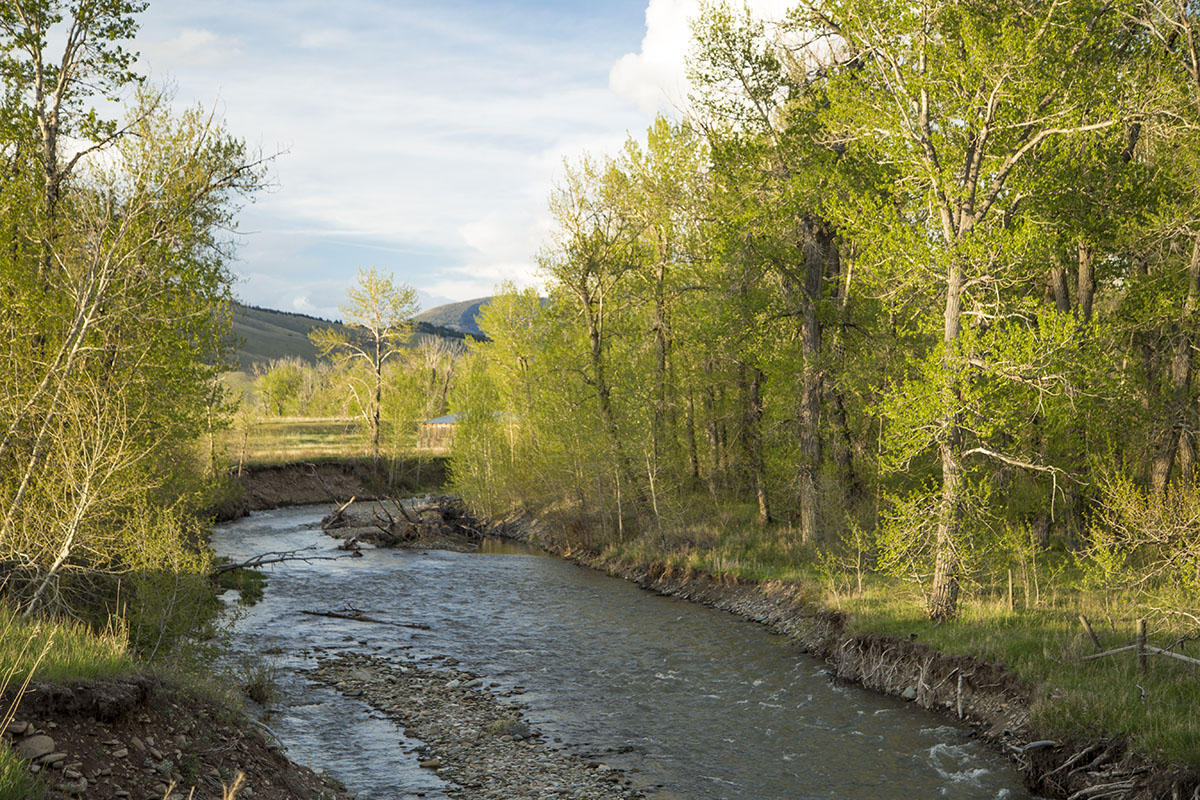 Shields River Farmstead property picture 3 of 74