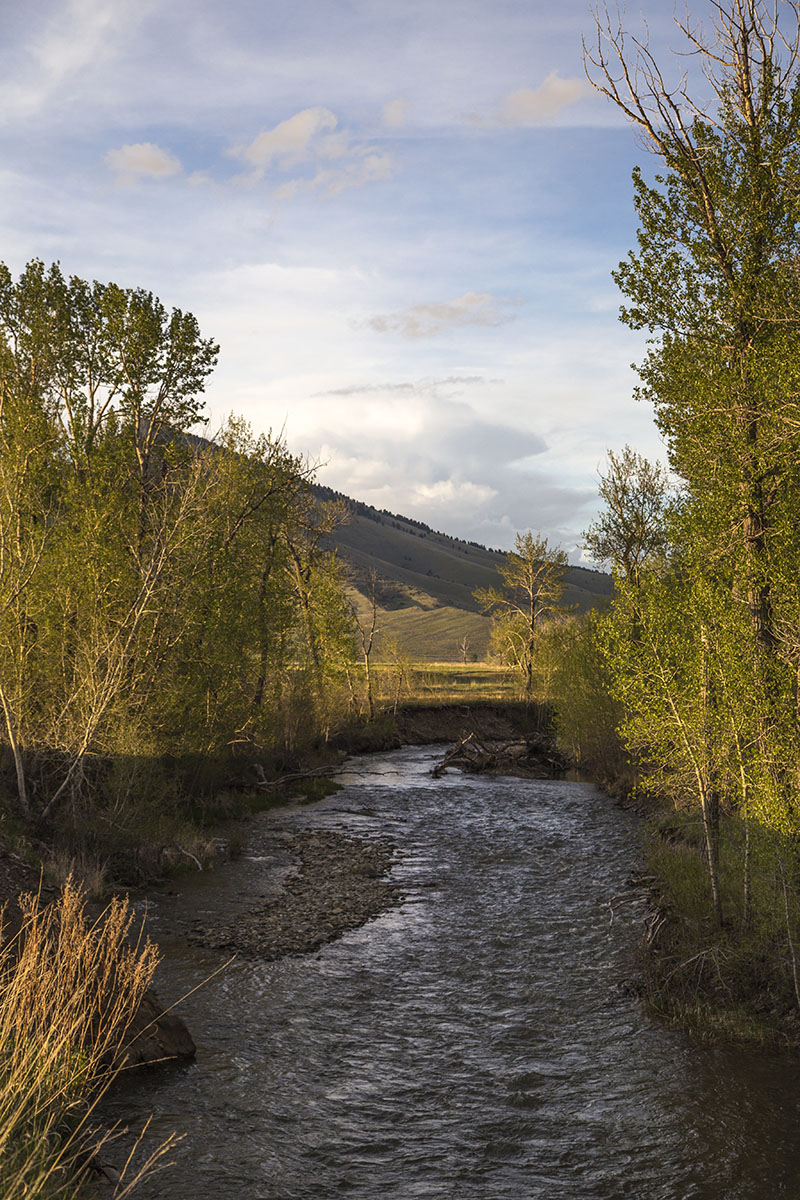 Shields River Farmstead property picture 74 of 74