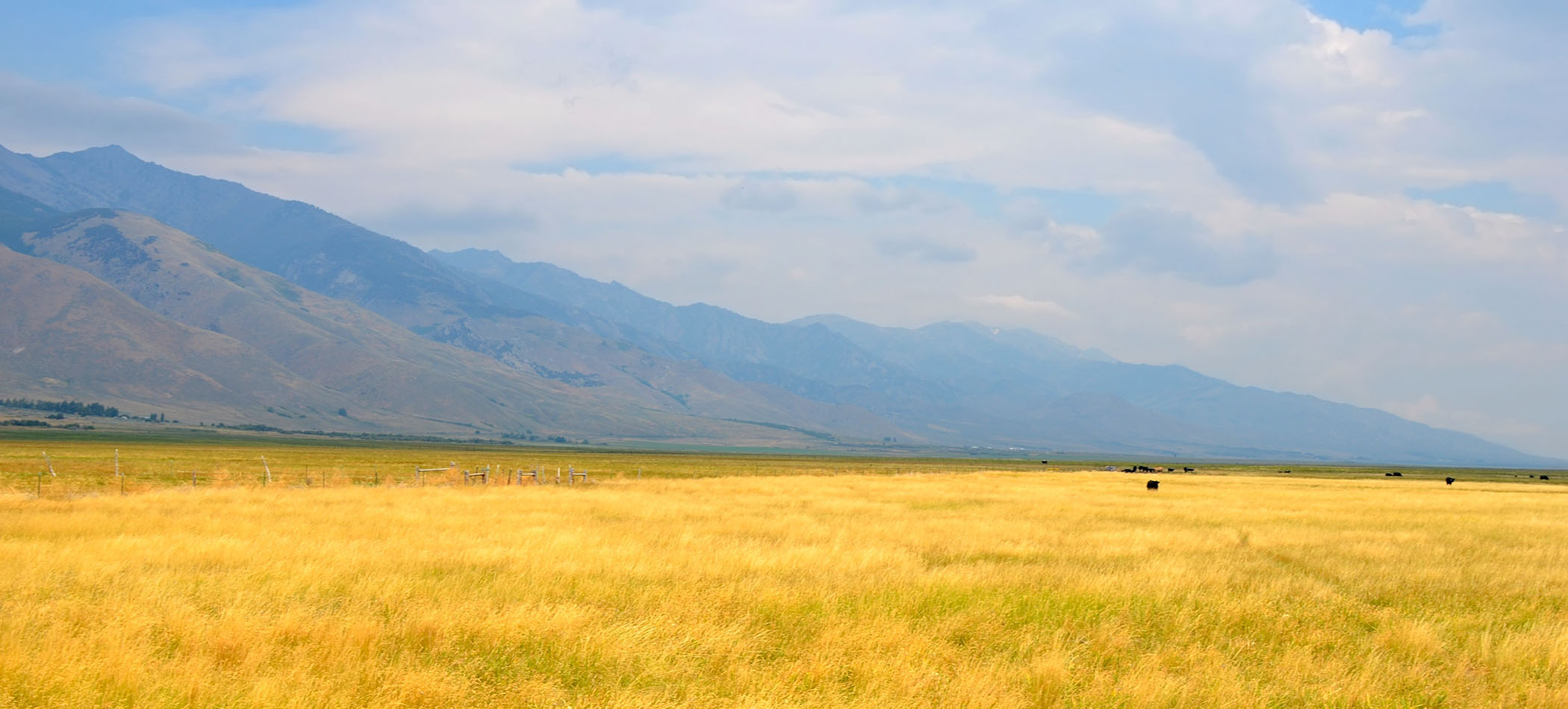 7H Ranch property picture 4 of 10