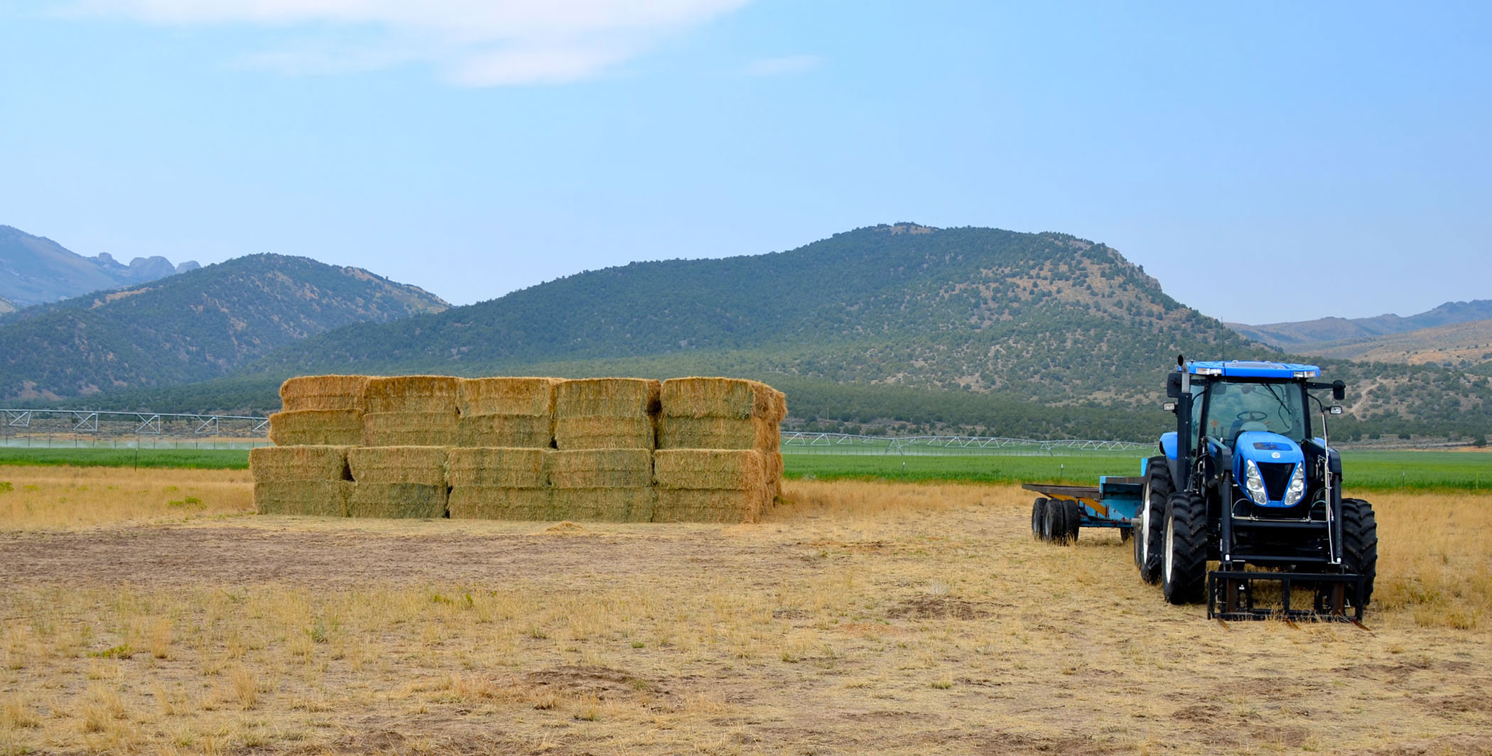 7H Ranch property picture 6 of 10