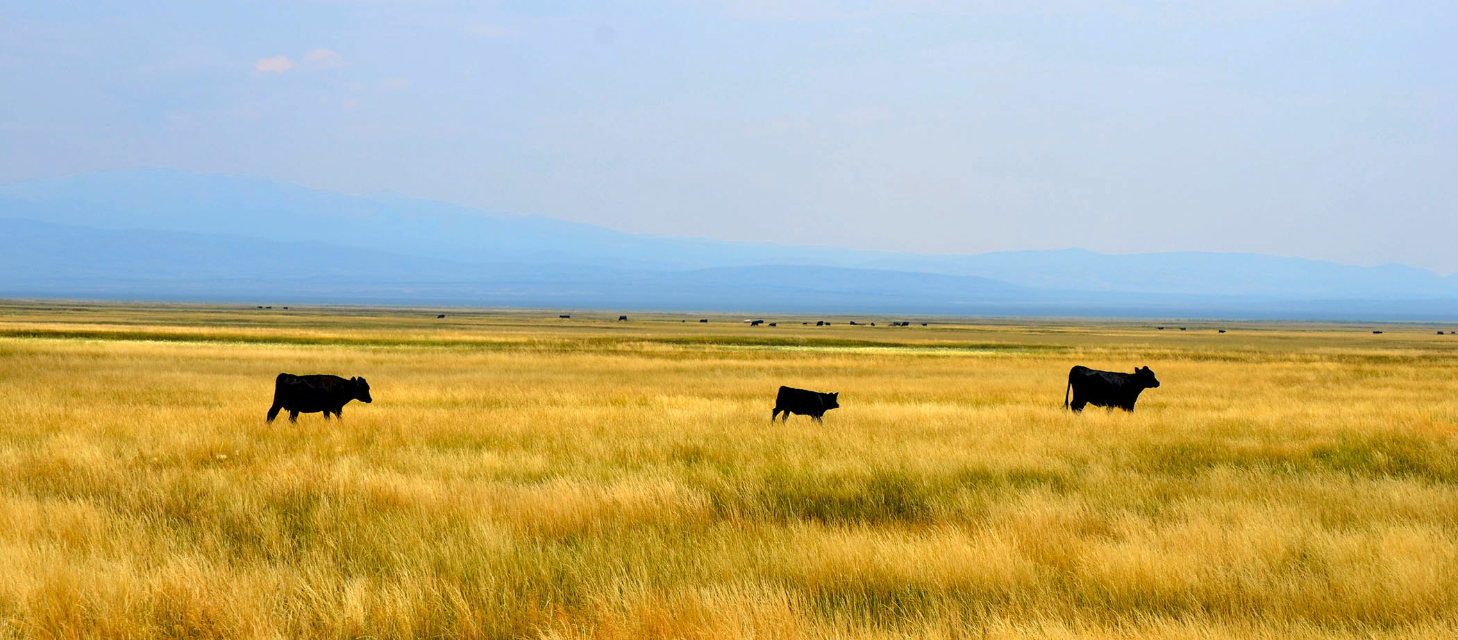 7H Ranch property picture 2 of 10