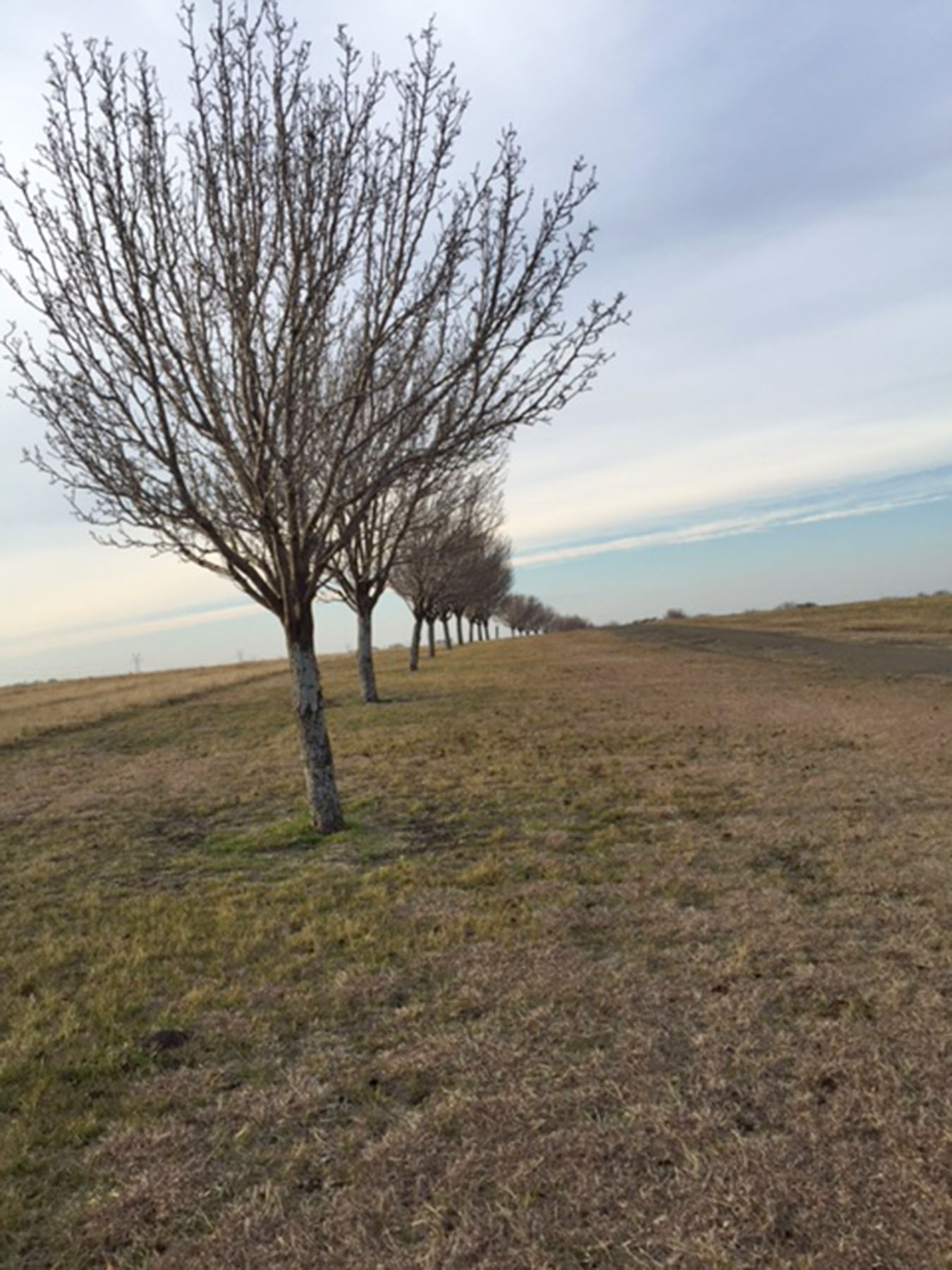 Char-Lin Ranch property picture 18 of 21