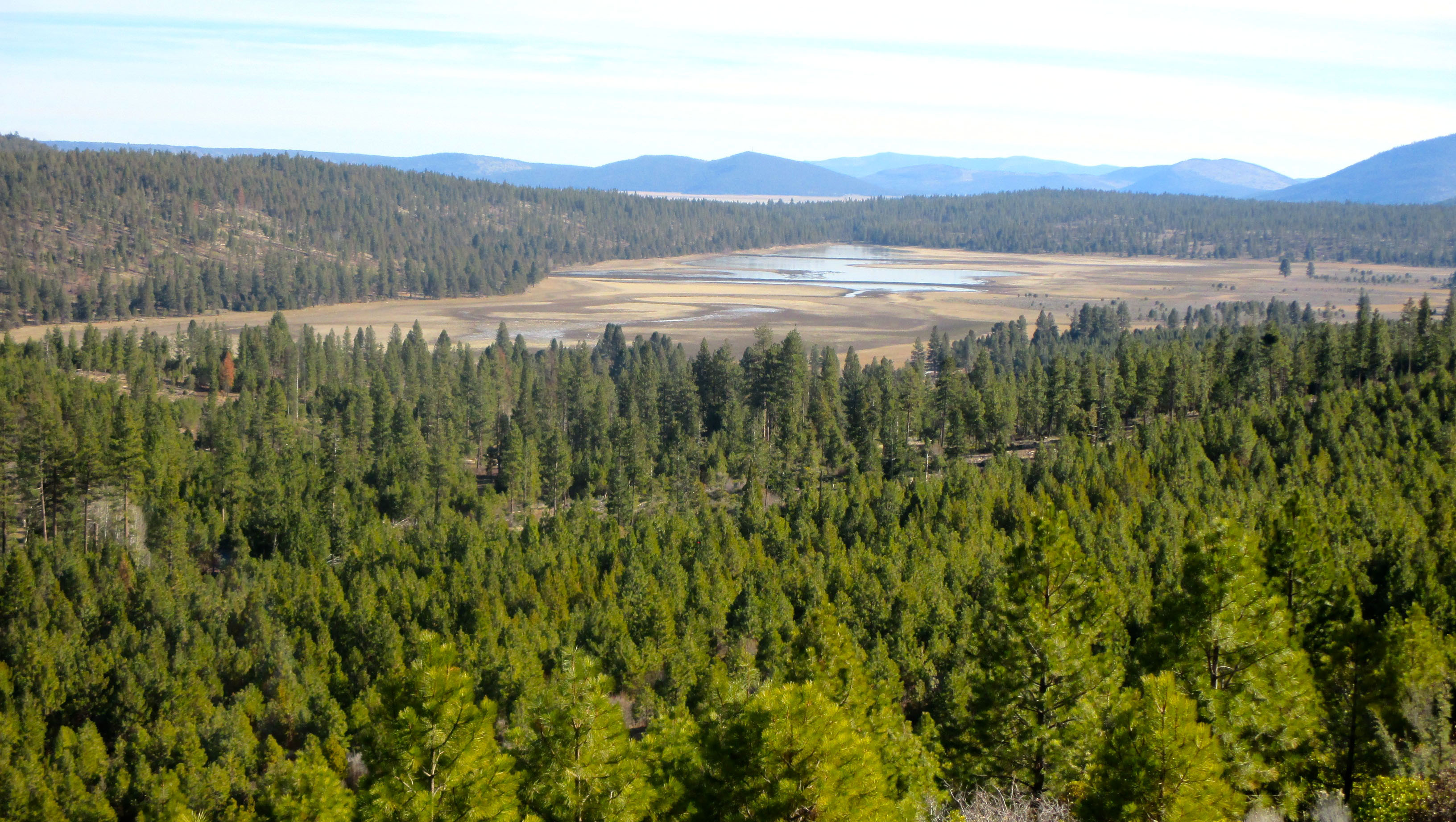 Whiteline Ranch property picture 8 of 16