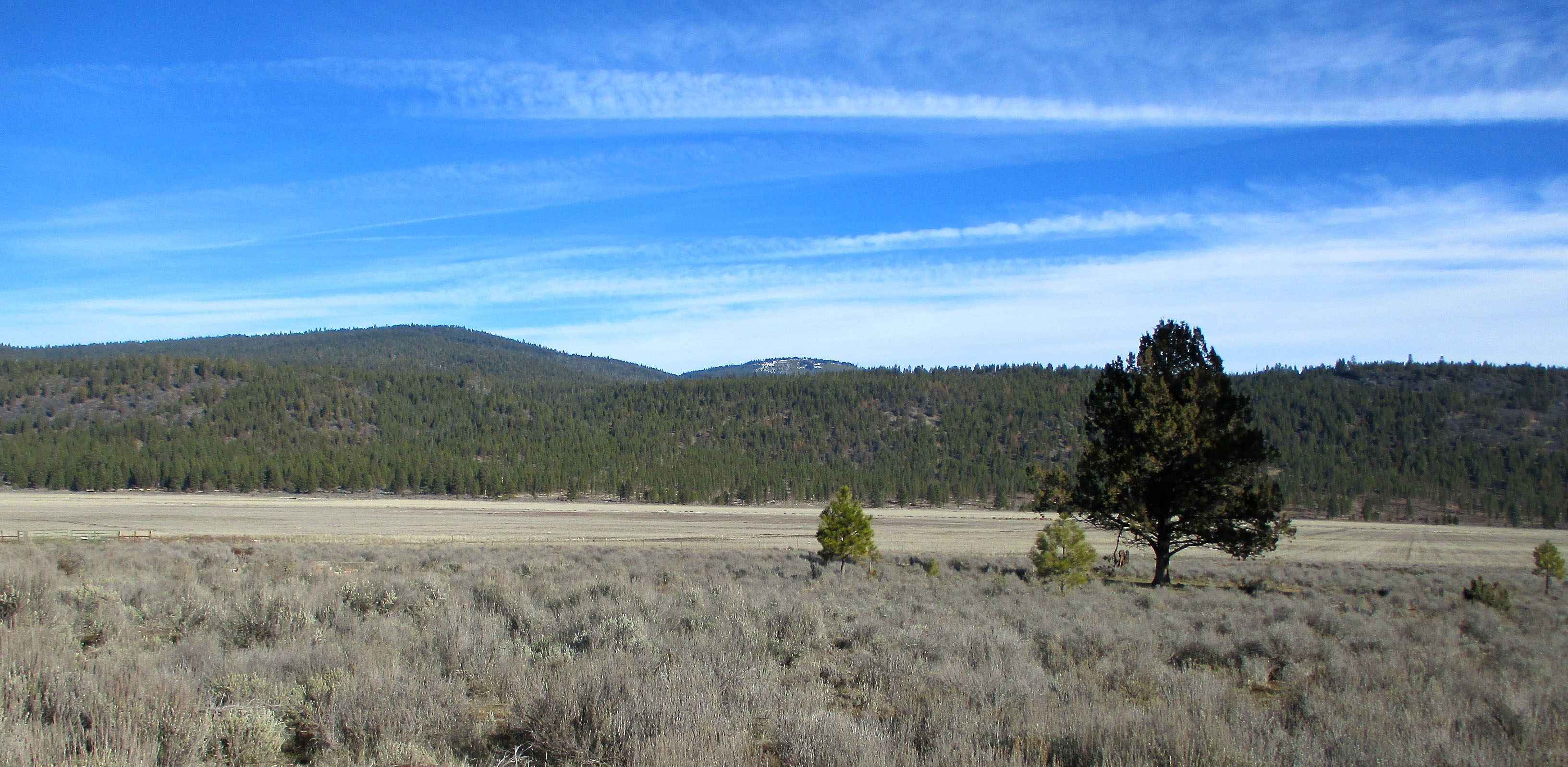 Whiteline Ranch property picture 2 of 16