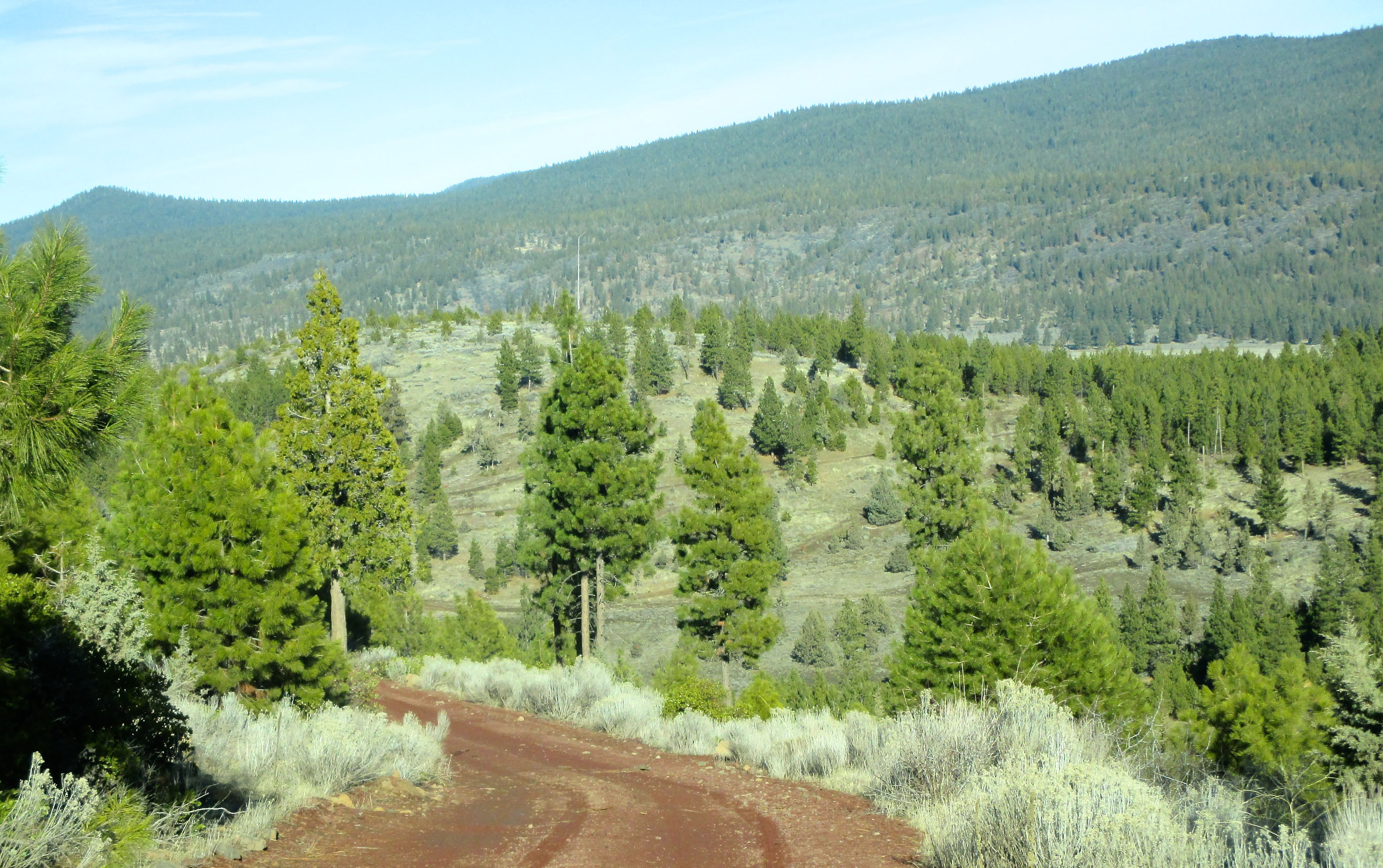 Whiteline Ranch property picture 4 of 16