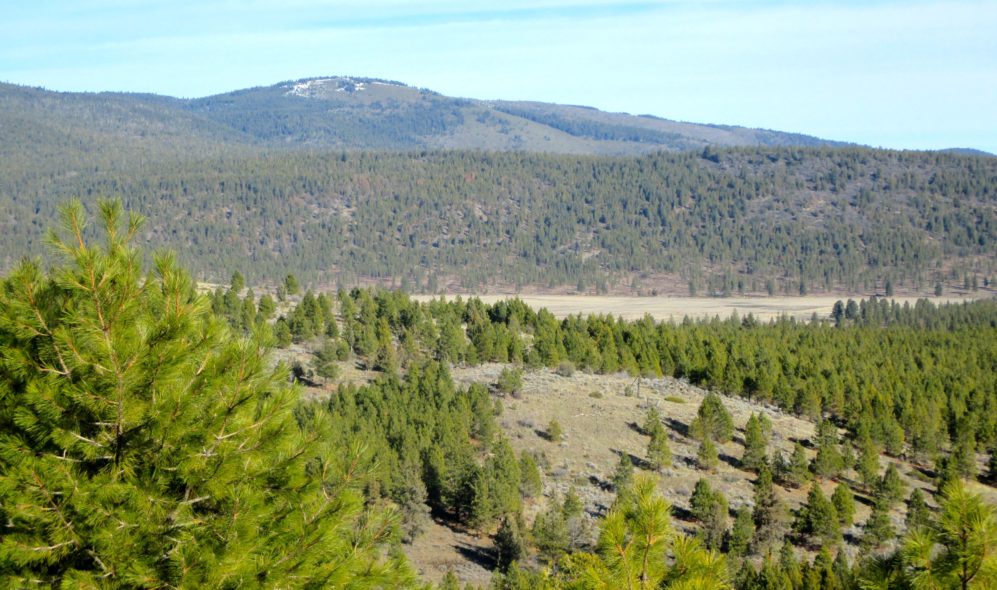 Whiteline Ranch property picture 3 of 16