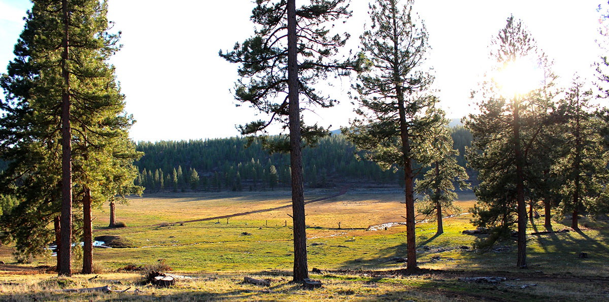 Whiteline Ranch property picture 15 of 16