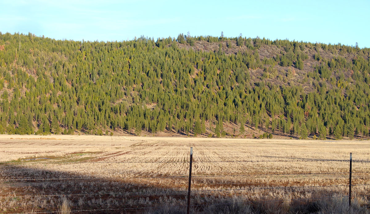 Whiteline Ranch property picture 9 of 16