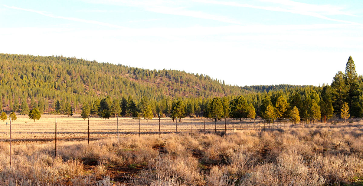 Whiteline Ranch property picture 10 of 16