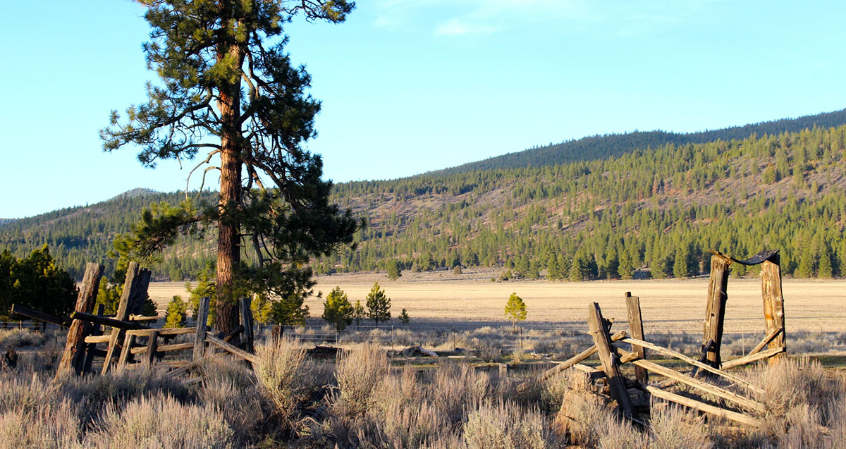 Whiteline Ranch property picture 11 of 16