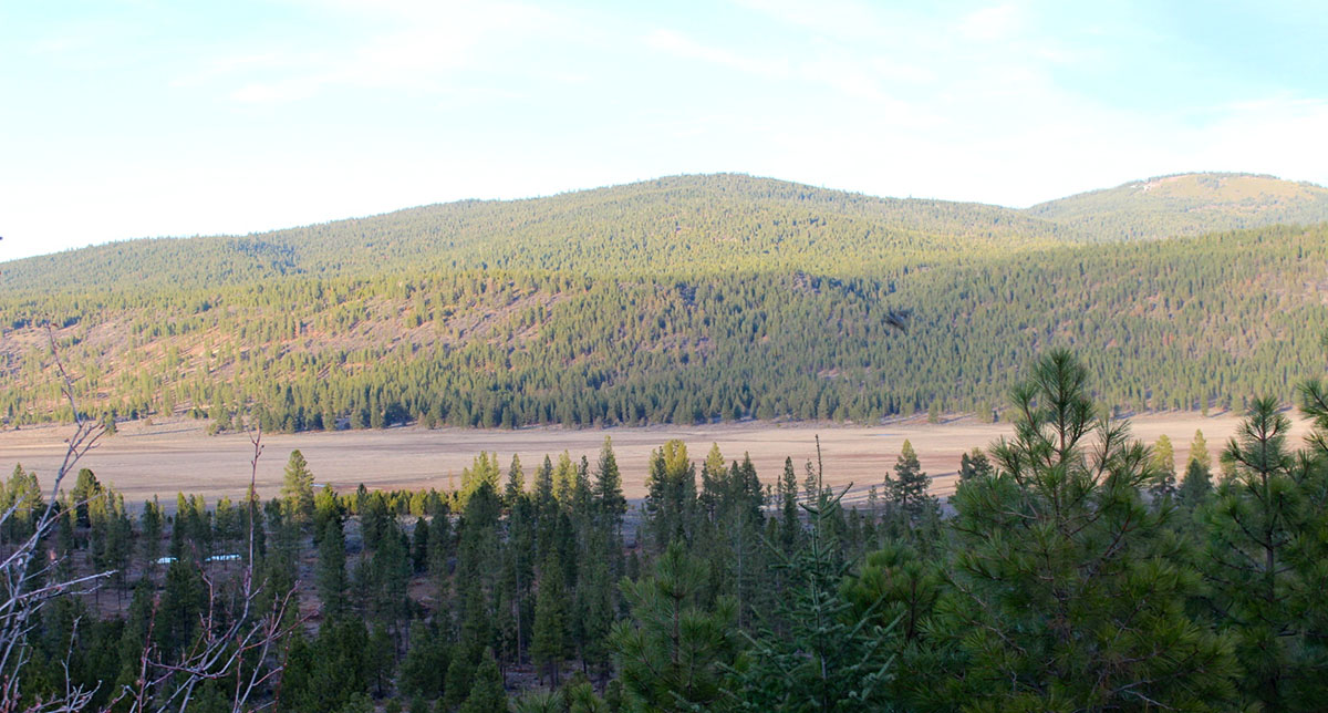 Whiteline Ranch property picture 13 of 16