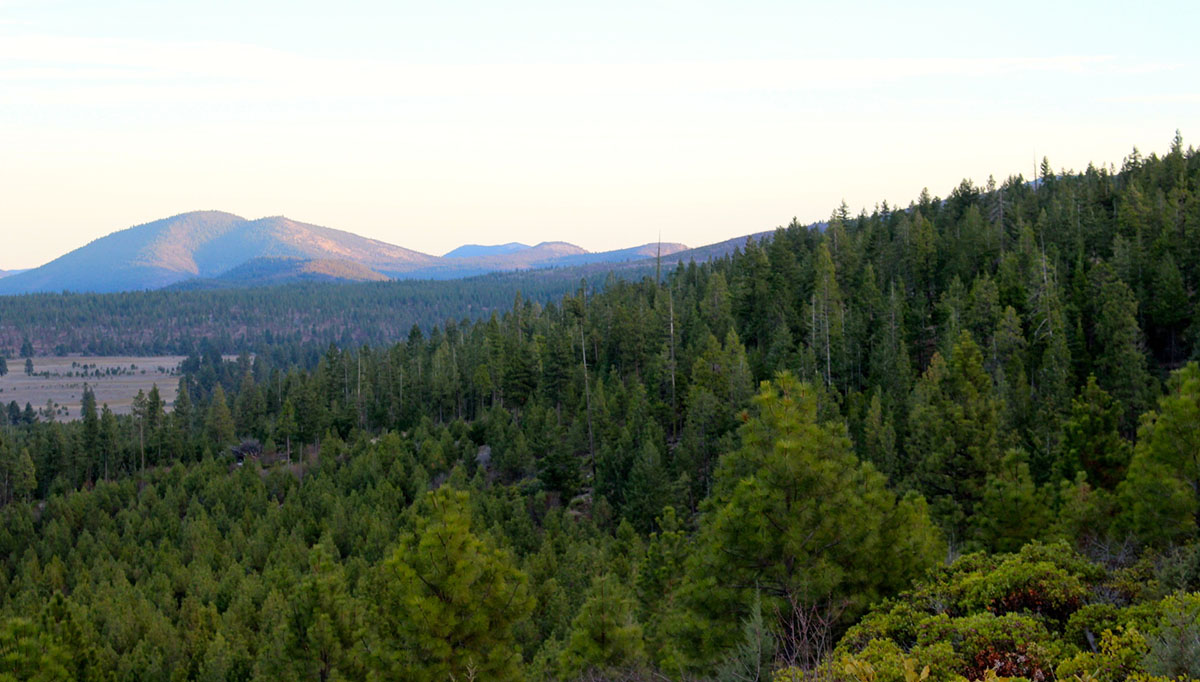 Whiteline Ranch property picture 14 of 16